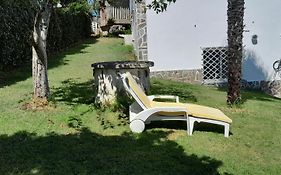 La Cruz Del Sur - 